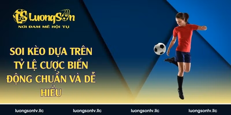 soi kèo dựa trên tỷ lệ cược biến động